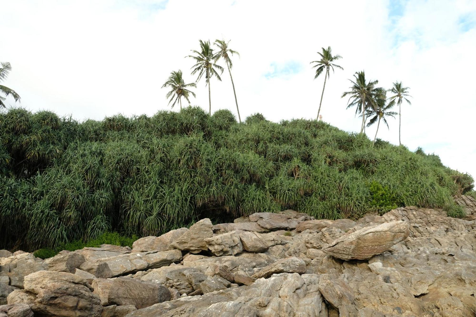 Menaka Homestay Tangalle Luaran gambar